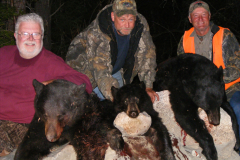 2012-CAMPDENIS-bear_24