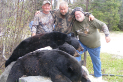 2012-CAMPDENIS-bear_26