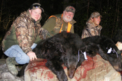 2013-CAMPDENIS-bear_04