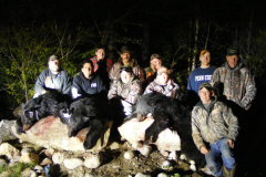 2013-CAMPDENIS-bear_05