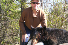 2013-CAMPDENIS-bear_10