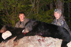 2013-CAMPDENIS-bear_13