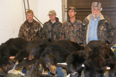 2013-CAMPDENIS-bear_16