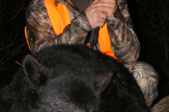 2013-CAMPDENIS-bear_18