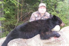 2013-CAMPDENIS-bear_19