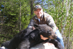 2013-CAMPDENIS-bear_22