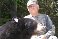 2013-CAMPDENIS-bear_23