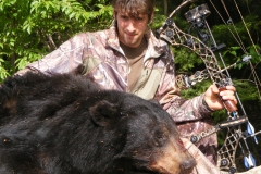 2013-CAMPDENIS-bear_24