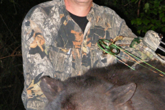 2013-CAMPDENIS-bear_27