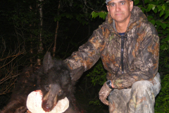 2013-CAMPDENIS-bear_29