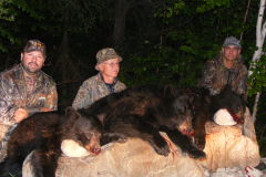 2013-CAMPDENIS-bear_32