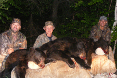 2013-CAMPDENIS-bear_33