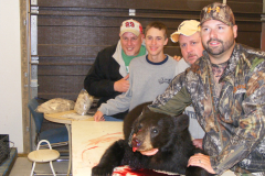 2013-CAMPDENIS-bear_34