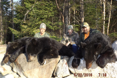 2016-CAMPDENIS-bear_07