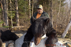 2016-CAMPDENIS-bear_08