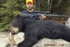 2016-CAMPDENIS-bear_10