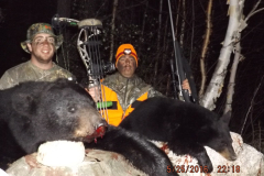 2016-CAMPDENIS-bear_11