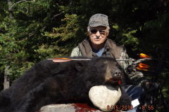 2016-CAMPDENIS-bear_20