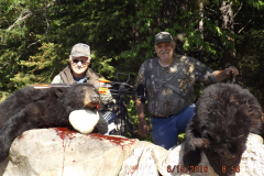 2016-CAMPDENIS-bear_21