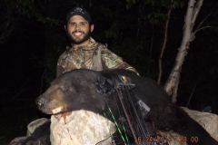 2016-CAMPDENIS-bear_22