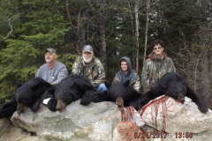 2017-CAMPDENIS-bear_04