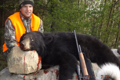 2017-CAMPDENIS-bear_14