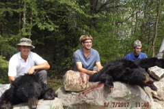 2017-CAMPDENIS-bear_17