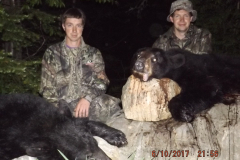 2017-CAMPDENIS-bear_22