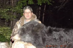 2017-CAMPDENIS-bear_24