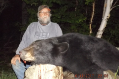 2017-CAMPDENIS-bear_25