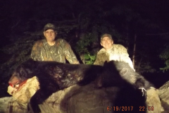 2017-CAMPDENIS-bear_30