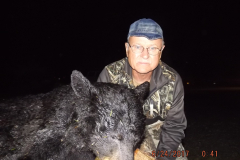 2017-CAMPDENIS-bear_33