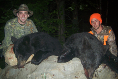 2017-CAMPDENIS-bear_39