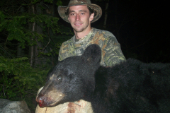 2017-CAMPDENIS-bear_40