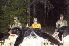 2018-CAMPDENIS-bear_06