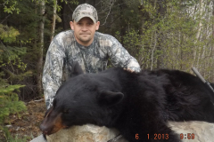 2018-CAMPDENIS-bear_08