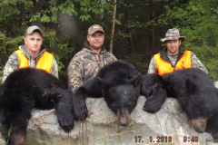 2018-CAMPDENIS-bear_14