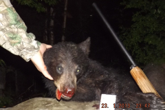 2018-CAMPDENIS-bear_26