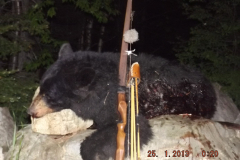 2018-CAMPDENIS-bear_28