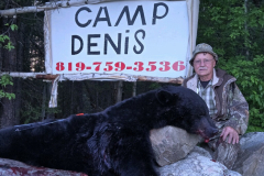 2024-CAMPDENIS-bear_39