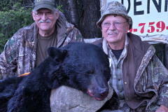 2024-CAMPDENIS-bear_43