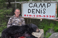 2025-CAMPDENIS-bear_04