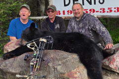 2025-CAMPDENIS-bear_06
