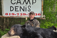 2025-CAMPDENIS-bear_11