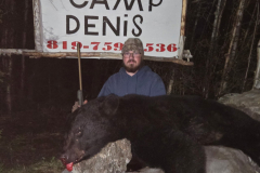 2025-CAMPDENIS-bear_15
