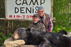 2025-CAMPDENIS-bear_27