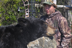 2026-bear-03