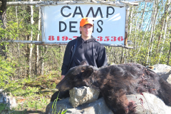 2026-bear-05