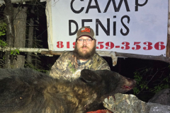 2026-bear-17