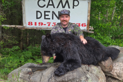 2026-bear-28